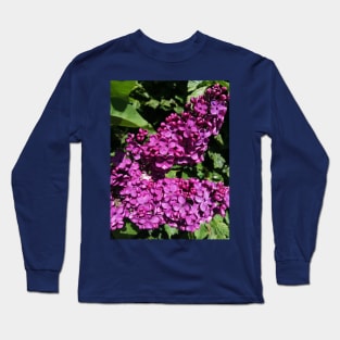 Lovely Lilac Flower Blooming In Spring Long Sleeve T-Shirt